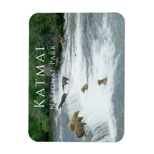 Bruine beren vissen Katmai National Park magneet (Verticaal)