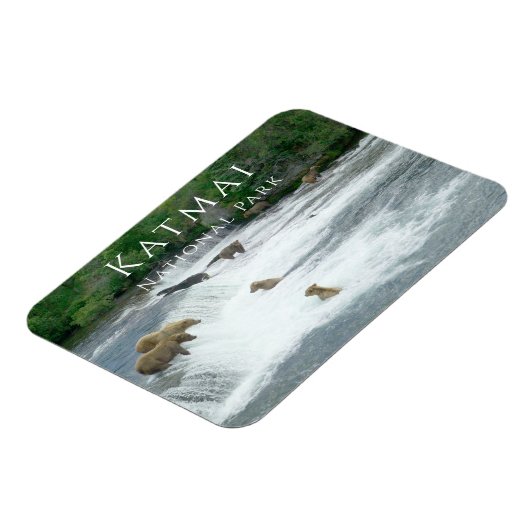 Bruine beren vissen Katmai National Park magneet (Linkerzijde)