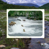 Bruine beren vissen Katmai National Park magneet