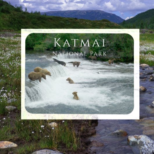 Bruine beren vissen Katmai National Park magneet