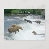 Bruine Beren Vist Brooks Herfsten Katmai NPP Alask Briefkaart (Voorkant)