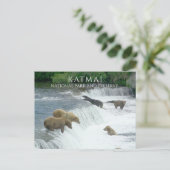 Bruine Beren Vist Brooks Herfsten Katmai NPP Alask Briefkaart (Staand voorkant)
