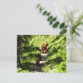 Bruine berenfamilie briefkaart (Staand voorkant)
