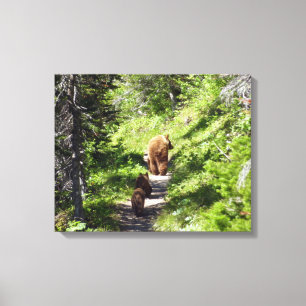 Bruine berenfamilie canvas afdruk