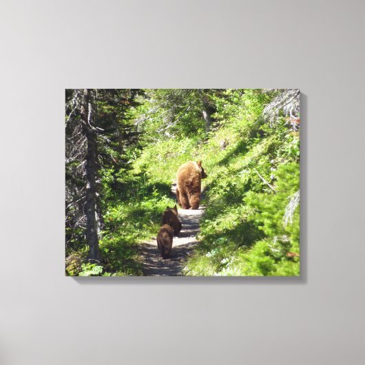 Bruine berenfamilie canvas afdruk (Voorkant)