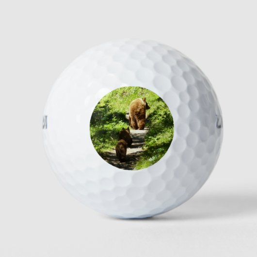 Bruine berenfamilie golfballen (Voorkant)