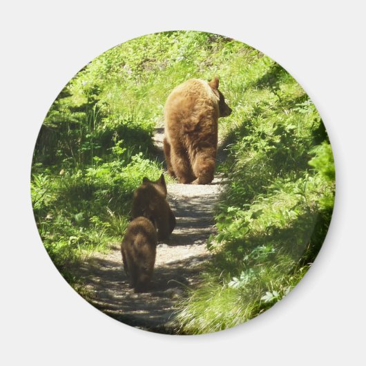 Bruine berenfamilie magneet (Voorkant)