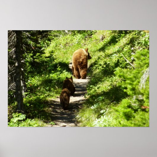 Bruine berenfamilie poster (Voorkant)