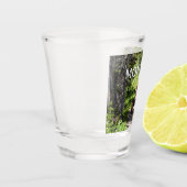 Bruine berenfamilie shot glas (Links)
