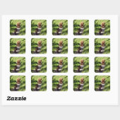 Bruine berenfamilie vierkante sticker (Vel)