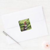 Bruine berenfamilie vierkante sticker (Envelop)