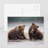 Bruine berenjongen bij de beek briefkaart (Voorkant / Achterkant)