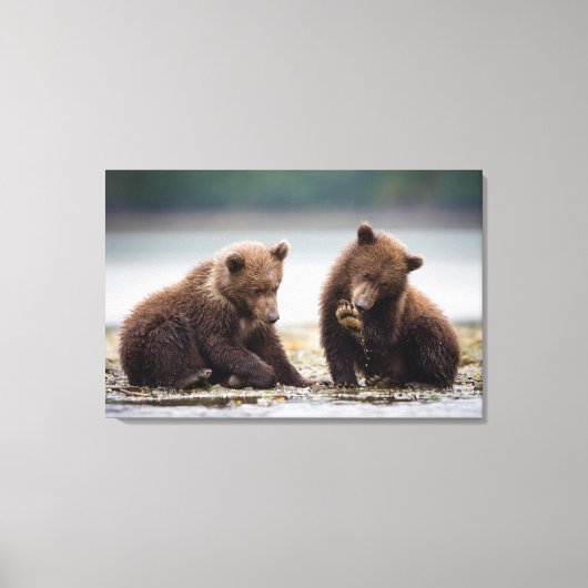 Bruine berenjongen bij de stroom canvas afdruk (Voorkant)