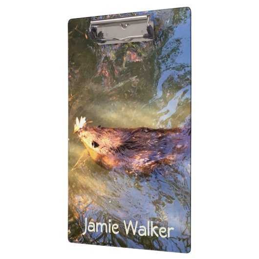 Bruine Bever Zwemmen Klembord (Links)