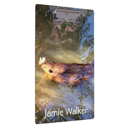 Bruine Bever Zwemmen Klembord (Rechts)