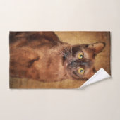 Bruine Birmese kat Bad Handdoek (Handdoek)