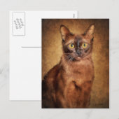 Bruine Birmese kat Feestdagenkaart (Voorkant / Achterkant)