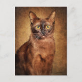 Bruine Birmese kat Feestdagenkaart (Voorkant)