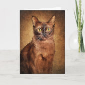 Bruine Birmese kat Kaart (Voorkant)