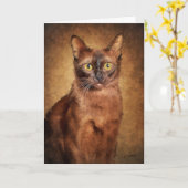 Bruine Birmese kat Kaart (Gele Bloem)