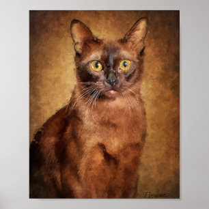 Bruine Birmese Kat Poster