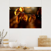 Bruine bladeren aangestoken door de ochtendzon poster (Keuken)