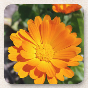 bruine bloem bier onderzetter