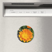 bruine bloem magneet (Insitu (Vaatwasser))