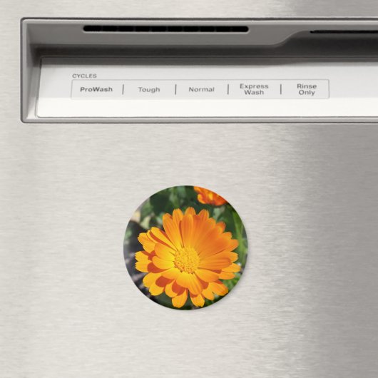 bruine bloem magneet (Insitu (Vaatwasser))