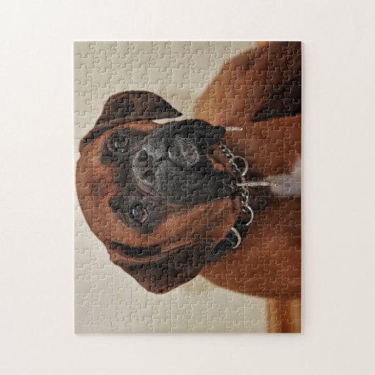 Bruine bokshond legpuzzel (Verticaal)