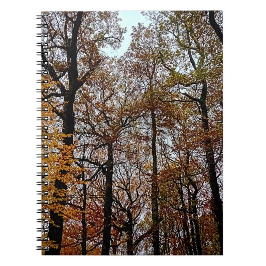 Bruine bomen notitieboek (Voorkant)