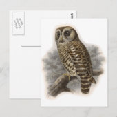 Bruine boomkorren briefkaart (Voorkant / Achterkant)