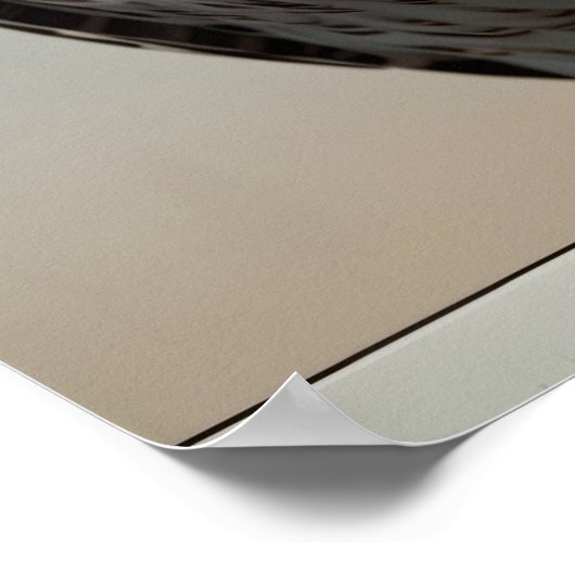 Bruine boomkorren poster (Hoek)