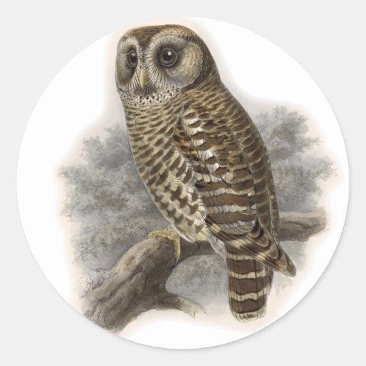 Bruine boomkorren ronde sticker (Voorkant)