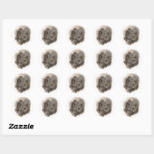 Bruine boomkorren ronde sticker (Vel)