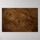 Bruine boomstam poster (Voorkant)