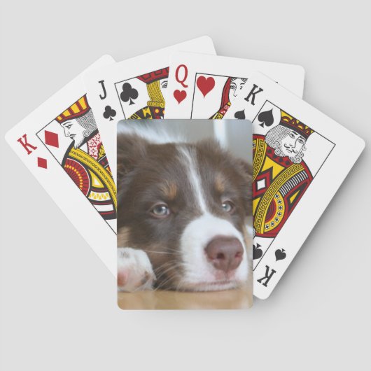 Bruine-border Collie Dog-speelkaarten Pokerkaarten (Achterkant)