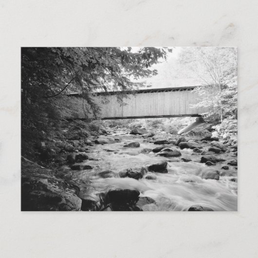 Bruine brug briefkaart (Voorkant)