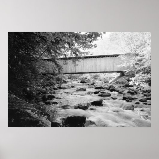 Bruine brug poster (Voorkant)