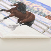 Bruine bruine bypsy verkenner in sneeuw sherpa deken (3/4)