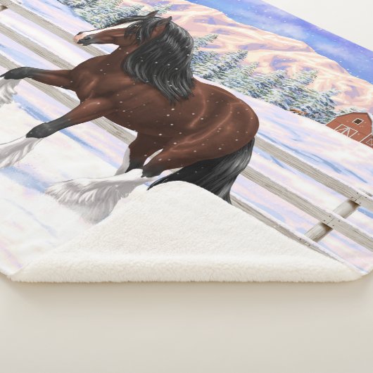 Bruine bruine bypsy verkenner in sneeuw sherpa deken (3/4)