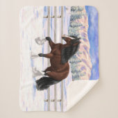 Bruine bruine bypsy verkenner in sneeuw sherpa deken (Voorkant)