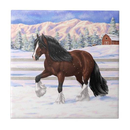 Bruine bruine bypsy verkenner in sneeuw tegeltje (Voorkant)