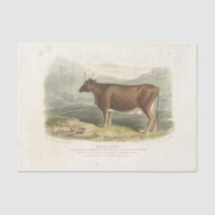 Bruine Bull Koe Ephemera Ontworpen Boerderij Tissuepapier