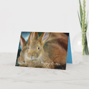 bruine bunny, aangepaste paaskaart feestdagen kaart