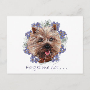 Bruine Cairn Terrier Vergeet-mij-nietje Briefkaart