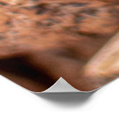 Bruine cashewnoten poster (Hoek)