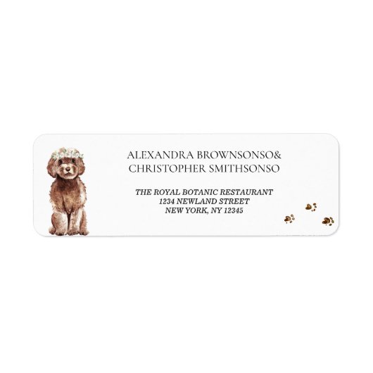 Bruine Cavapoo Hond Thuis Nieuw Getrouwd Huwelijk Etiket (Voorkant)
