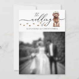 Bruine Cavapoo pup Huwelijksfoto Kaart