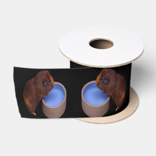 Bruine cavia staand drinkend, satijnen lint